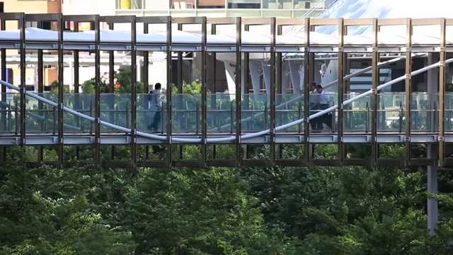 日本东京秋叶原，人们走在高架通道上视频下载