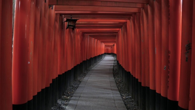 日本京都伏见稻见神社的红色鸟居门视频下载