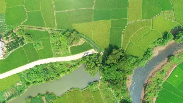 桂林秋天里的稻田视频素材