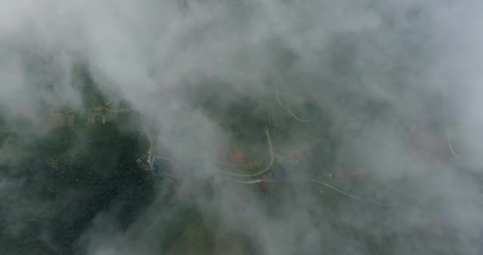 航拍云雾缭绕的高山茶园视频素材