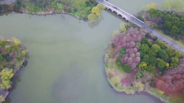 上海顾村公园航拍春季樱花节视频素材