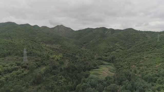 森林航拍视频素材