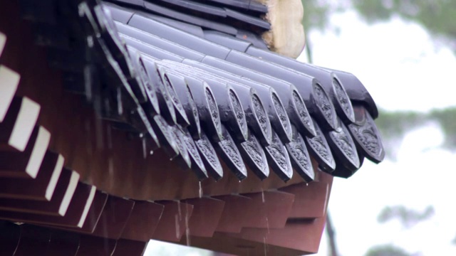 雨天的屋檐和屋顶瓦片视频下载