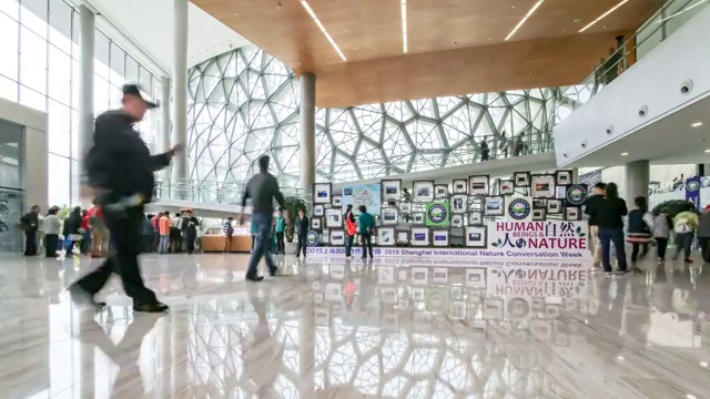 上海自然博物馆4k延时视频素材