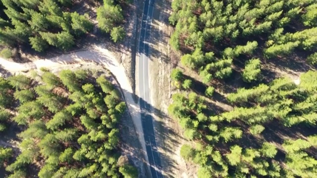 航拍澳大利亚国家公园森林公路视频素材