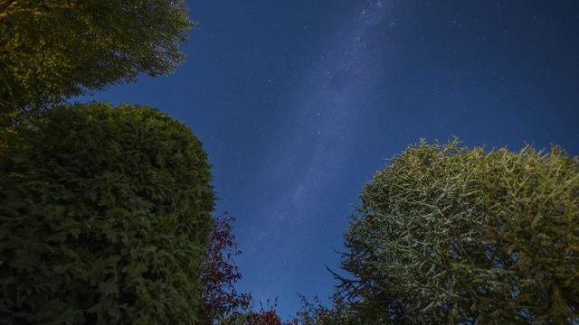新西兰皇后镇树顶视角银河延时视频素材