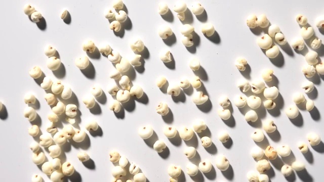 跳动的爆米花爆小麦薏米白底慢速摄影创意素材视频素材