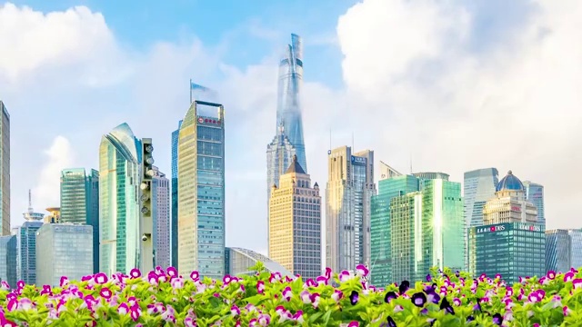 花园前景的中国上海陆家嘴风光视频素材