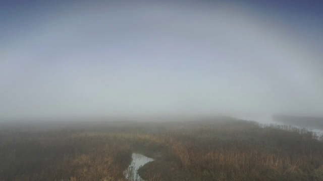 温哥华海岸线的雾气之晨视频素材