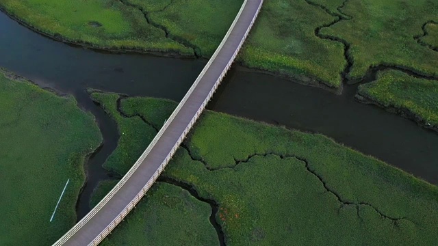 加拿大太平洋湿地生态环境视频素材