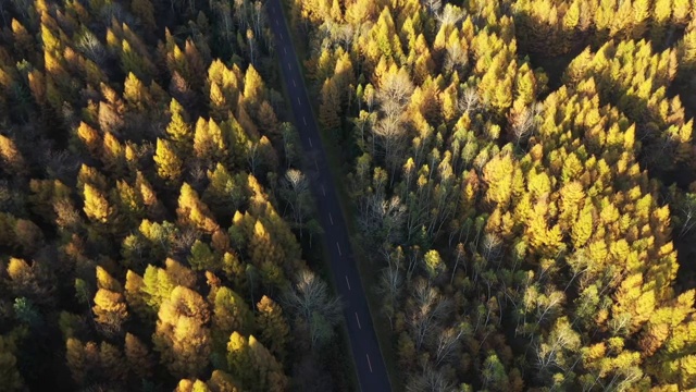 雪乡国家森林公园秋季风光视频素材