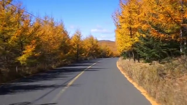 秋天的草原天路视频素材