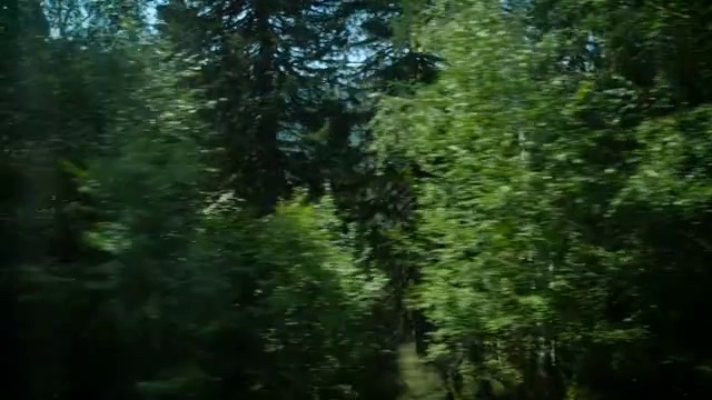 行驶在树林中视频素材