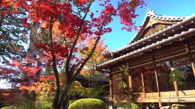 京都南禅寺秋色视频素材