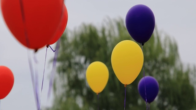 庆典气球视频下载