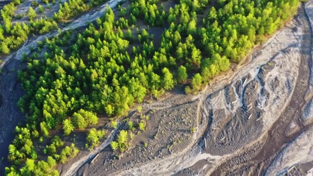 无人机航拍森林视频素材