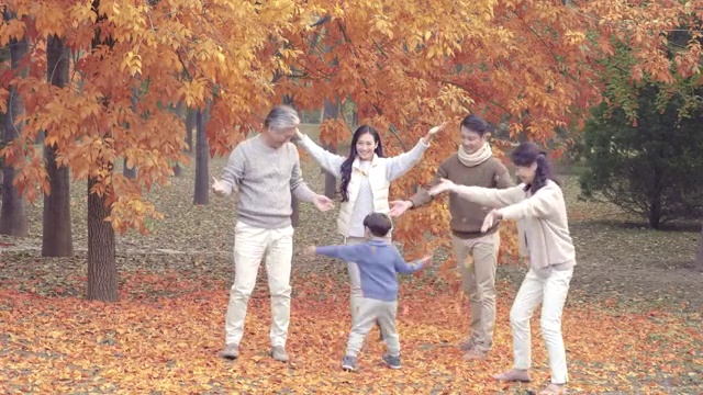 快乐家庭在秋日树林里玩耍视频素材