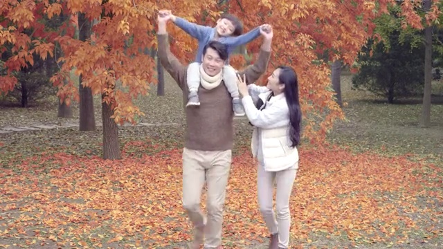 快乐年轻家庭在秋日树林里玩耍视频素材