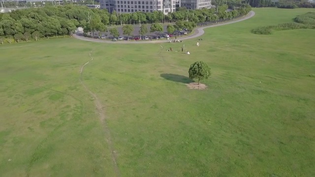 一棵树航拍汽车广告4K视频素材视频素材