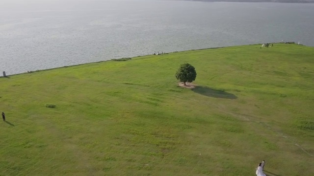 一棵树航拍汽车广告4K视频素材视频素材
