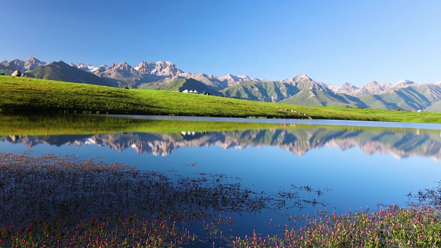 夏季，新疆尼勒克县仙女湖上开满了红色的小花，倒映着天山雪峰视频素材