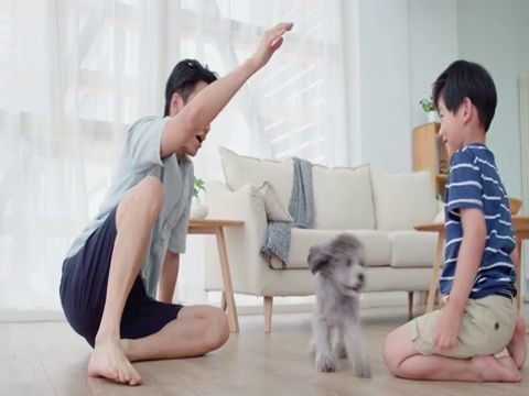 父子俩和狗玩耍视频素材