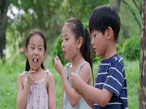 三个孩子在草地玩耍视频下载