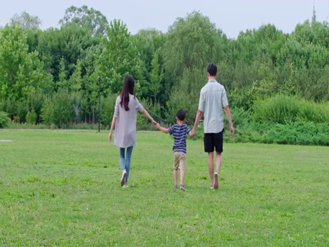 快乐年轻家庭在草地上散步视频下载