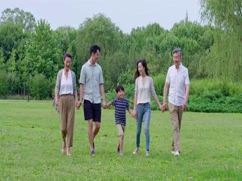 全家人在草地上散步视频素材