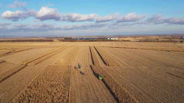 北大荒秋天玉米收割场面视频素材