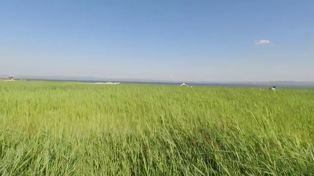 内蒙古乌兰察布岱海视频素材