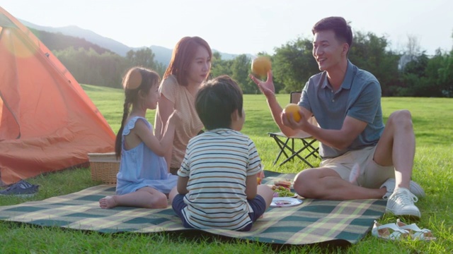 年轻家庭户外野餐视频下载