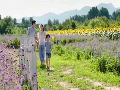 快乐的年轻家庭在花田郊游视频素材
