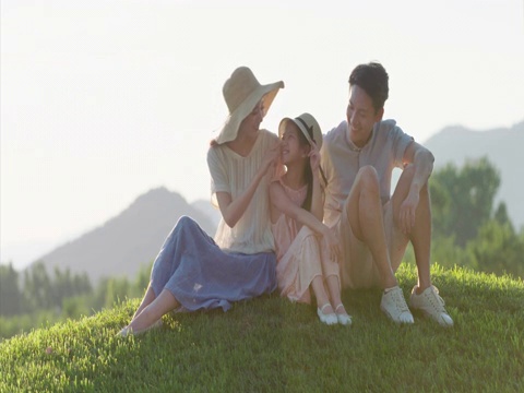 快乐的年轻家庭坐在草地上视频下载