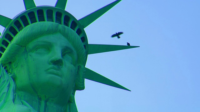 两只鸟和自由女神像。纽约视频素材