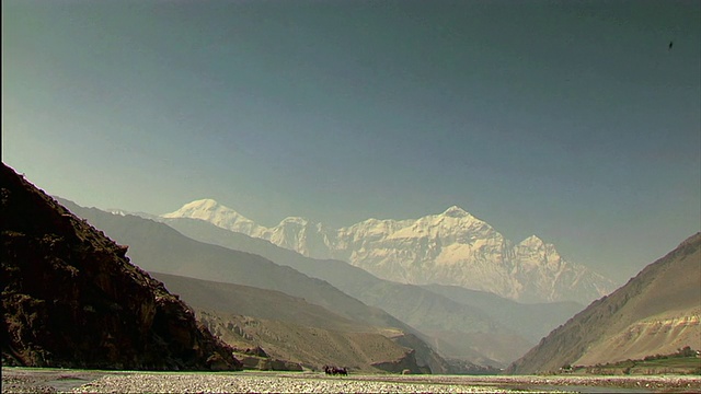 尼泊尔Mustang Kagbeni Kali Gandaki河床的马匹和雪山视频素材