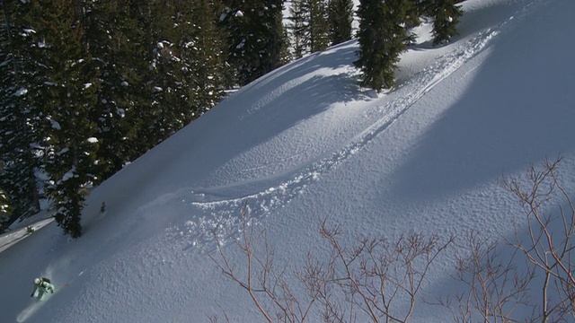 WS TD SLO MO滑雪者滑雪粉状雪/阿尔塔，雪鸟，美国犹他州视频素材