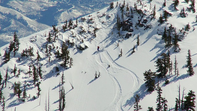 WS TD ZO滑雪者滑雪下悬崖粉状雪/阿尔塔，雪鸟，美国犹他州视频下载