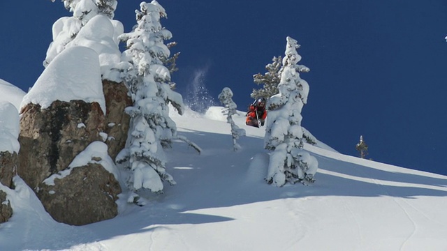 WS TS ZI SLO MO Man在深粉雪上滑雪/阿尔塔，雪鸟，美国犹他州视频素材