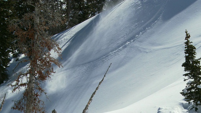 WS TS SLO MO Man滑下深雪，打开背光山脊/阿尔塔，雪鸟，美国犹他州视频素材