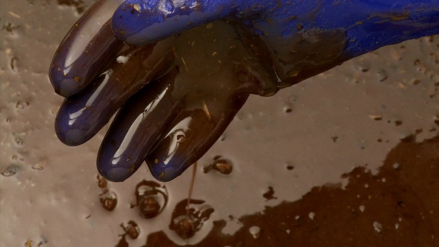 CU HA戴着手套的手浸在一滩原油/亚特兰大，乔治亚州视频下载
