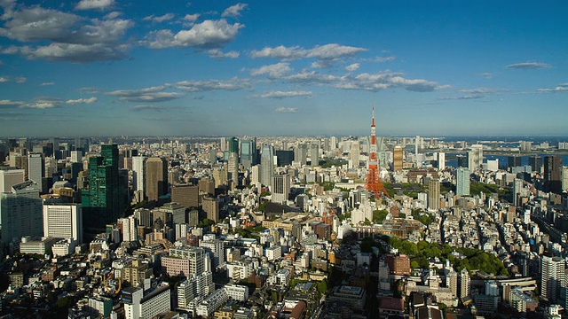 WS T/L View of Tokyo Tower, Roppongi, Kamiyacho和滨松正区在东京/东京，日本视频素材