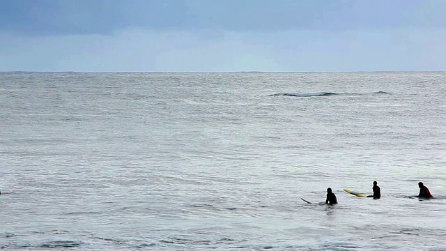 在海浪中冲浪的人，座头鲸(Megaptera novaengliae)在背景中跳跃/希洛，夏威夷，美国视频素材