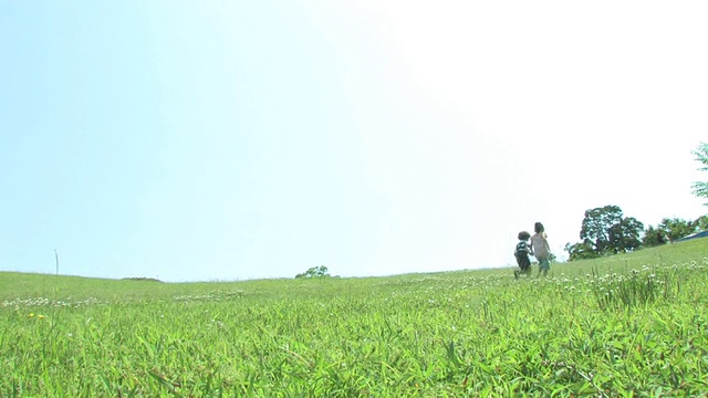 男孩和女孩手牵手在草地上跑步视频素材