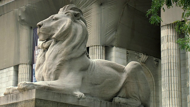 美国纽约市，纽约公共图书馆外的狮子雕像视频素材