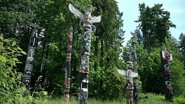 加拿大不列颠哥伦比亚省温哥华斯坦利公园的CU ZO WS图腾柱视频下载