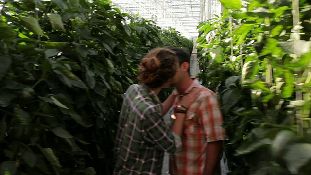 澳大利亚珀斯，在温室里工作的人们，在小巷里接吻的年轻情侣视频素材