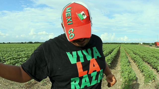 美国佛罗里达州，一名男子头戴西班牙帽，身穿印有“Viva la Raza”字样的t恤视频素材