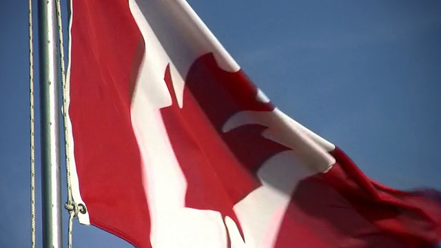 高清:加拿大国旗特写视频素材