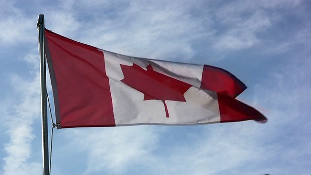 高清:加拿大国旗中镜头视频素材